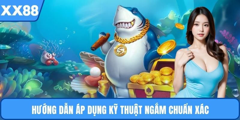 Hướng dẫn áp dụng kỹ thuật ngắm chuẩn xác