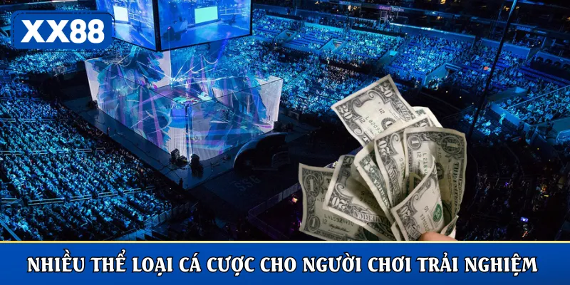 Nhiều thể loại cá cược cho người chơi trải nghiệm